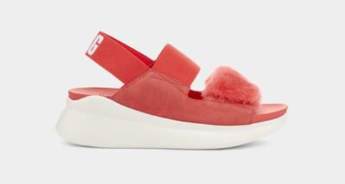 Ugg silverlake outlet